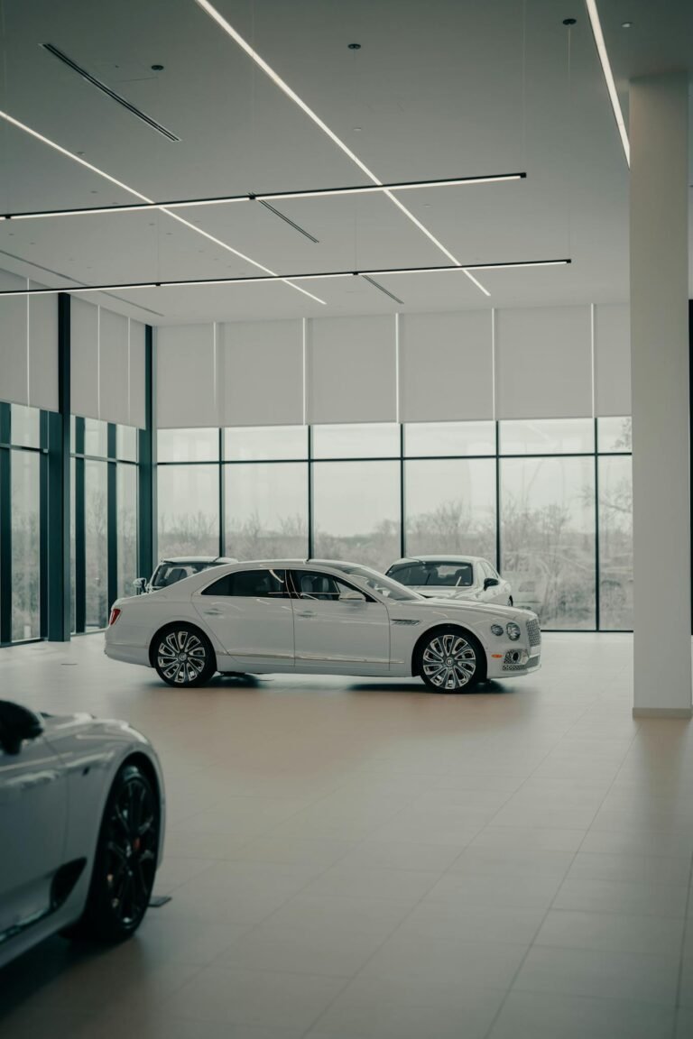 Elegant white luxury cars showcased inside a contemporary, well-lit car showroom or dealership.